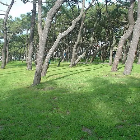 Parque De Campismo Da Da Barra