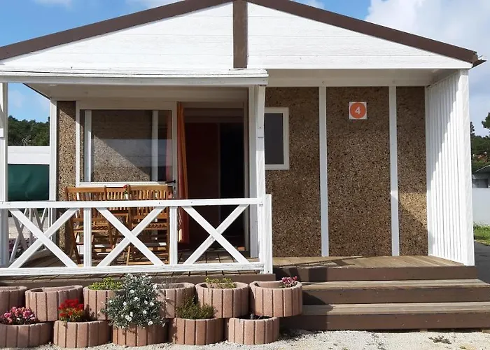 Parque De Campismo Da Da Barra 噶凡哈达纳扎雷