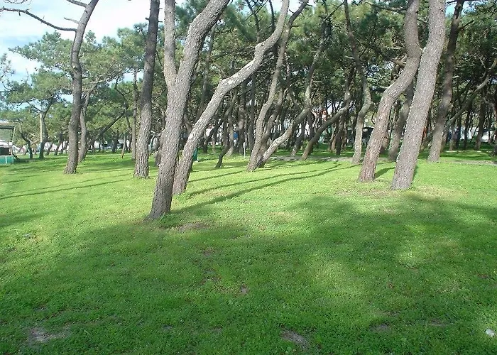 Parque De Campismo Da Da Barra